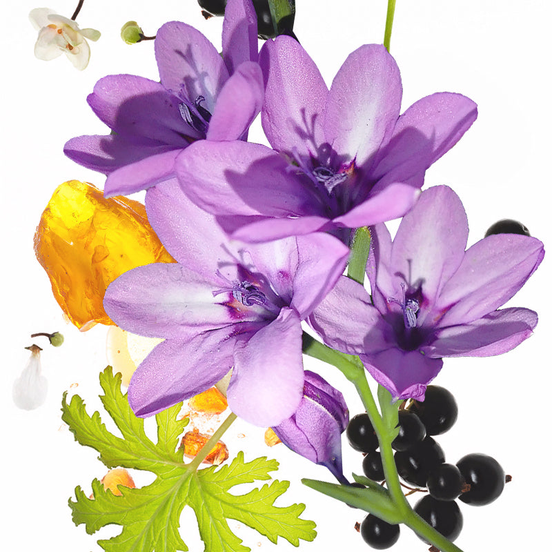 50ml KOEC Moon Violet Purple F - Perfume Fragrance Moisturizer recension och pris